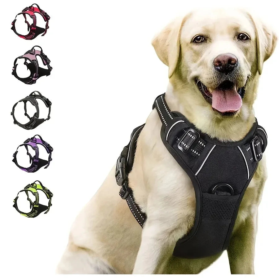 Personalized Dog Harness And Collar Set With Leash