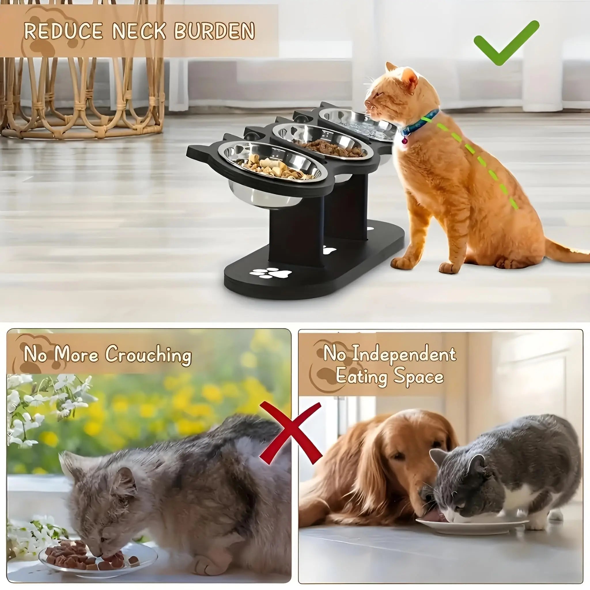 Elevated Stainless Steel Cat Bowl with Tilted Stand
