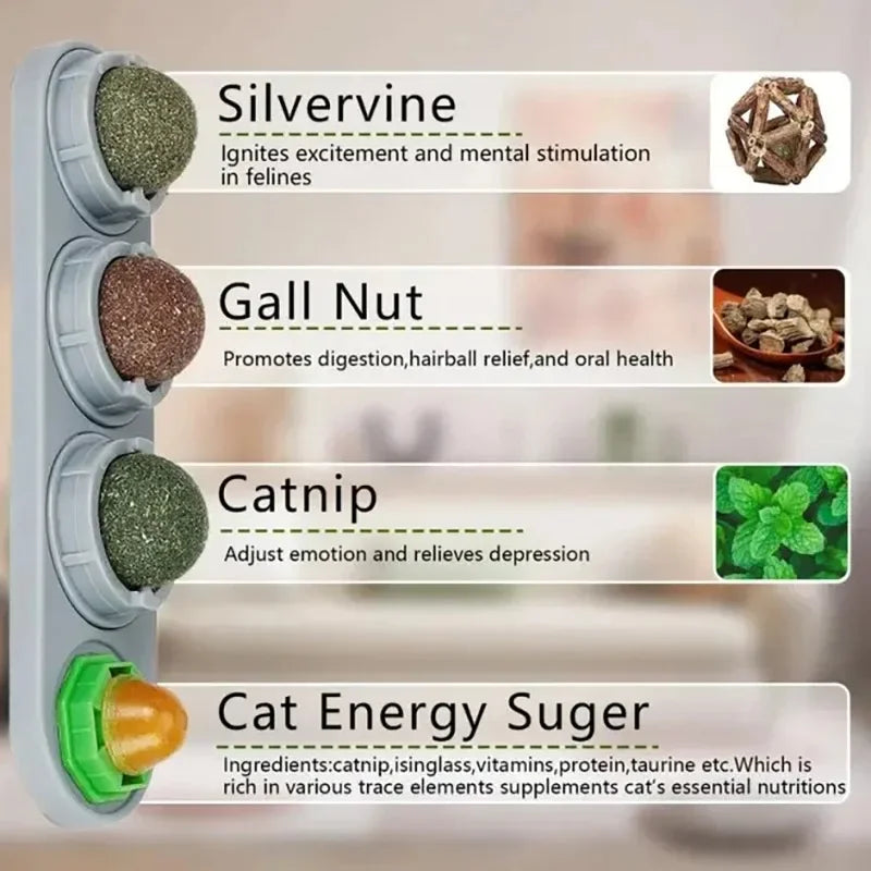 4 in 1 Rotating Catnip Silver Vine Ball