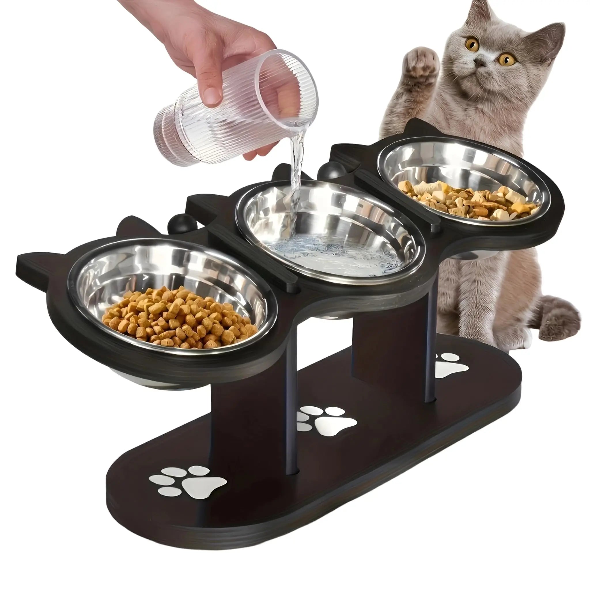 Elevated Stainless Steel Cat Bowl with Tilted Stand