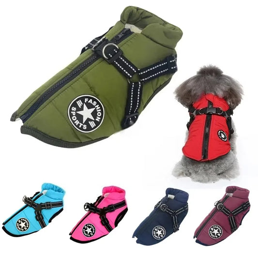 Waterproof Dog Jacket with Harness Hole