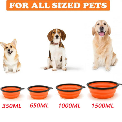Collapsible Silicone Pet Travel Bowl with Carabiner