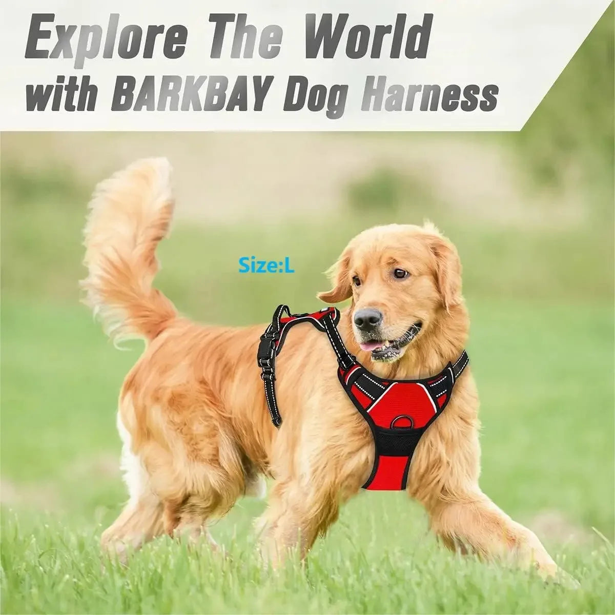 Personalized Dog Harness And Collar Set With Leash