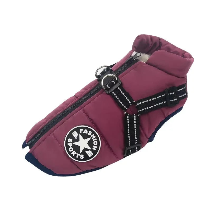 Waterproof Dog Jacket with Harness Hole