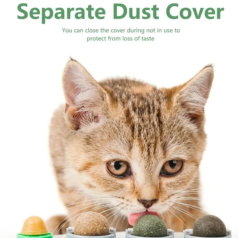 4 in 1 Rotating Catnip Silver Vine Ball
