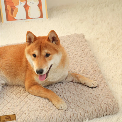 3D Foam Pet Bed