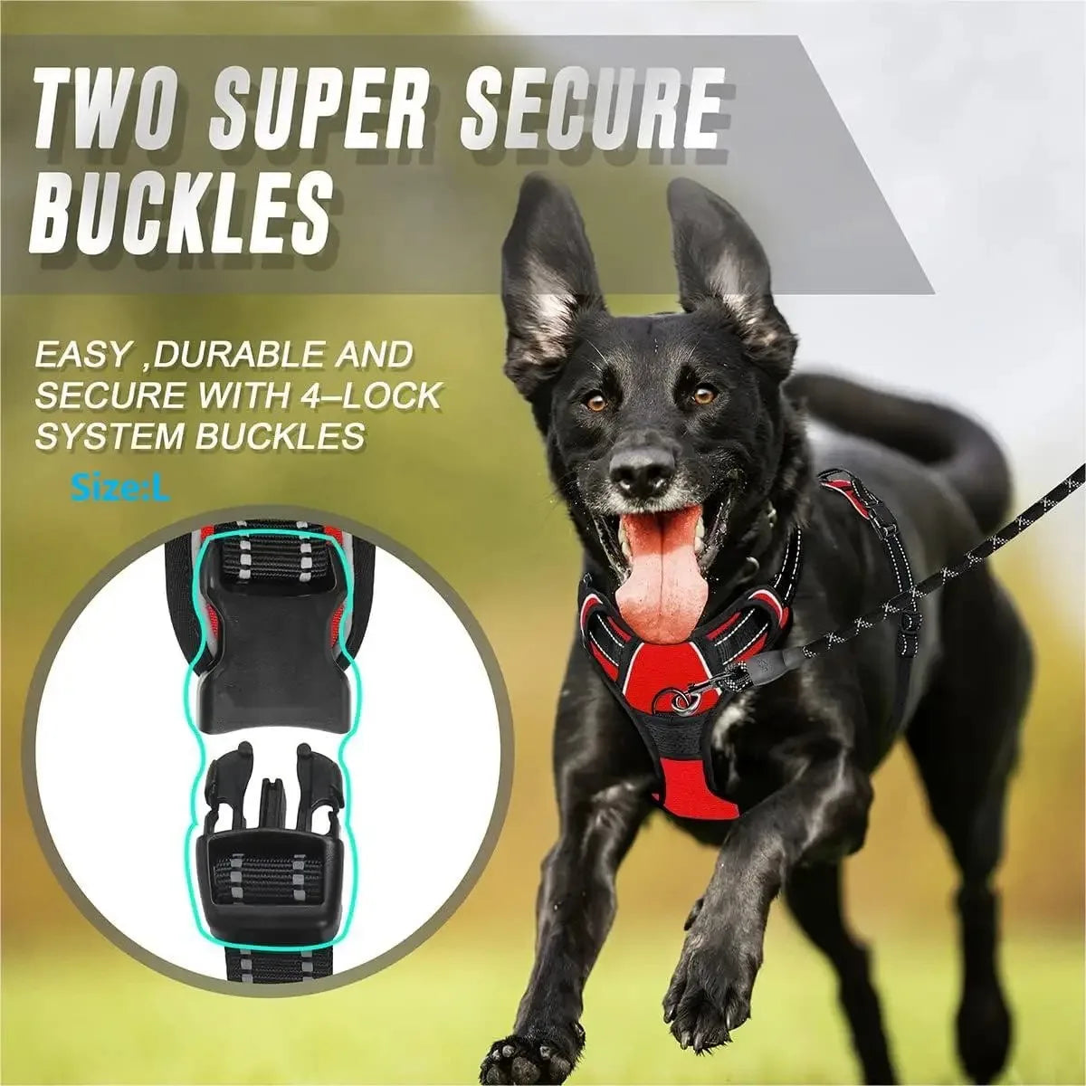 Personalized Dog Harness And Collar Set With Leash