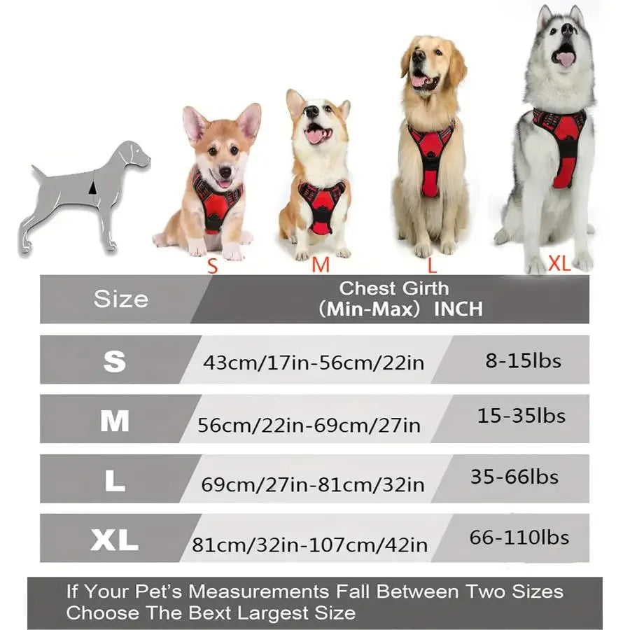Personalized Dog Harness And Collar Set With Leash