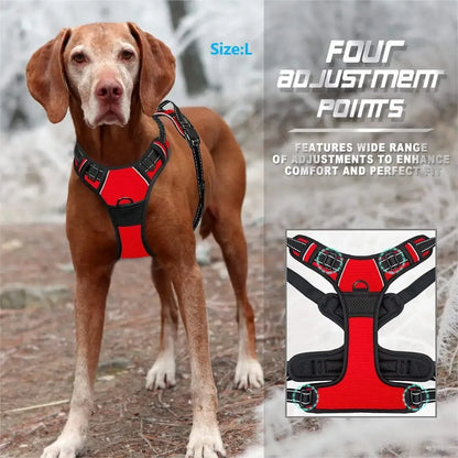 Personalized Dog Harness And Collar Set With Leash