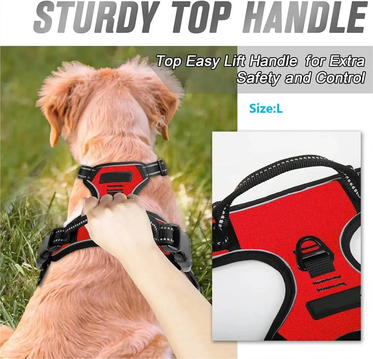 Personalized Dog Harness And Collar Set With Leash
