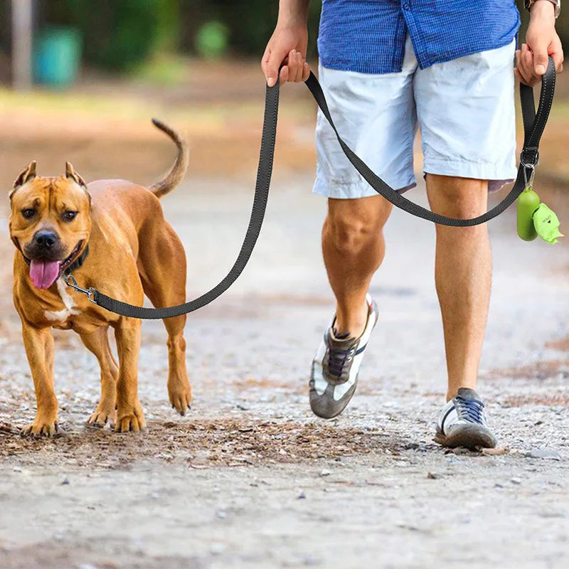 Reflective Pet Harness Collar and Lead Set